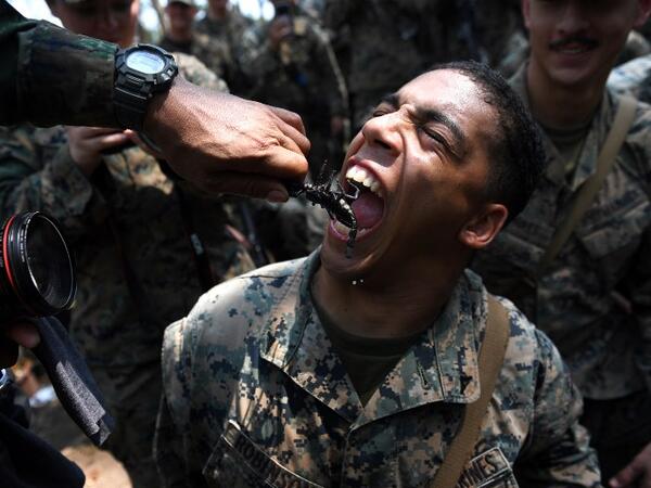 A US Marine eats a scorpion during a jungle survival training with Thai soldiers in the joint 'Cobra Gold' military exercise in Chantaburi province 
Lillian SUWANRUMPHA / AFP