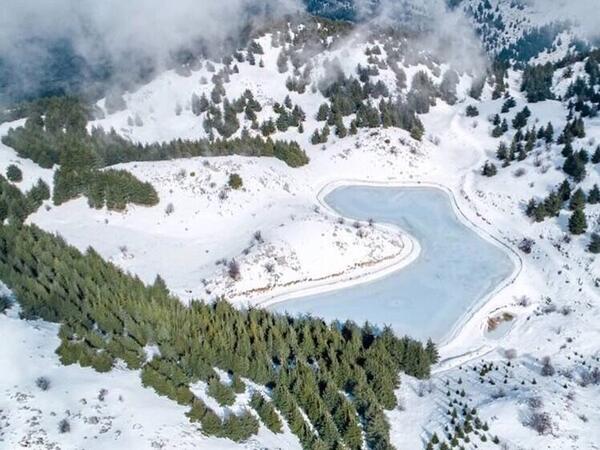 Glorious Cedars covered with snow in Barouk,  Lebanon (Twitter)