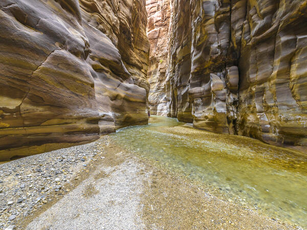 (Shutterstock/ File Photo)