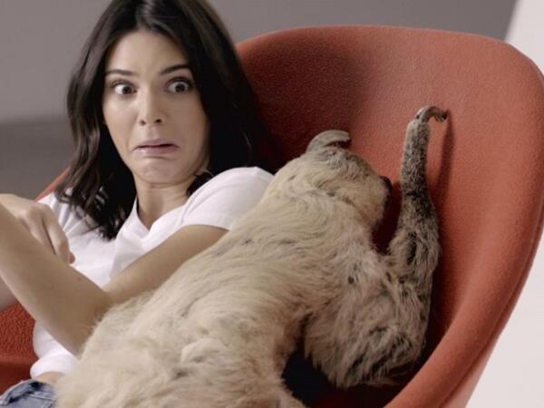  أعلى الإعجابات حول العالم.. نجوم "إنستغرام"