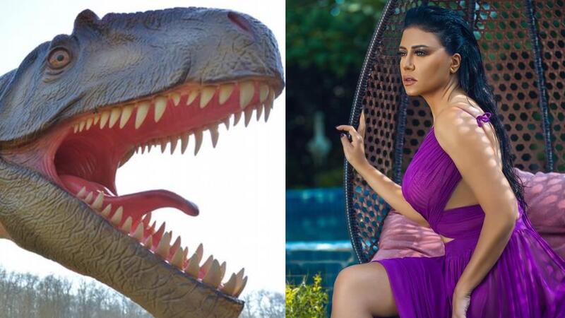 رانيا يوسف تثير قرف الجمهور بإطلالتها في مهرجان الجونة السينمائي..هل أكل الديناصور فستانها؟