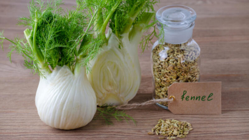 فوائد الشمر للقولون البوابة