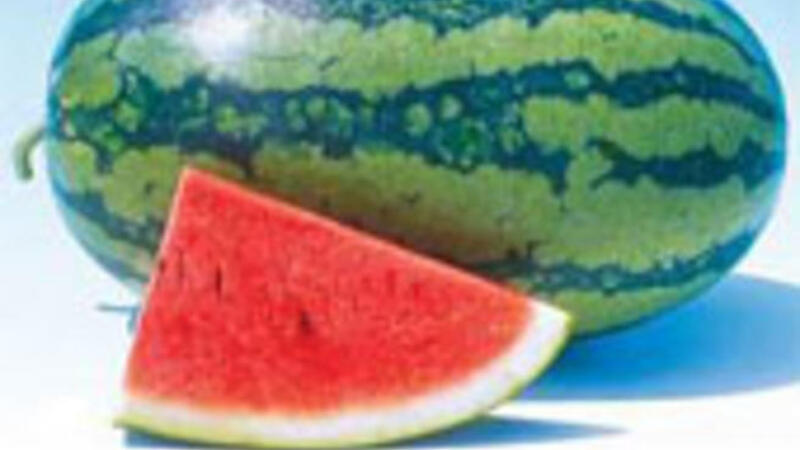 البطيخ علاج جيد للسرطان البوابة