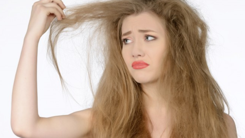 كيف تحمي نفسك من تساقط الشعر الموسمي البوابة