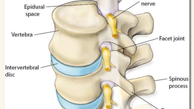 اسئلة واجابات عن الديسك البوابة