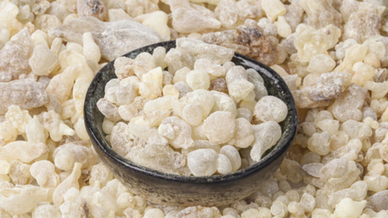 ما هو اللبان الذكر وما هي فوائده البوابة