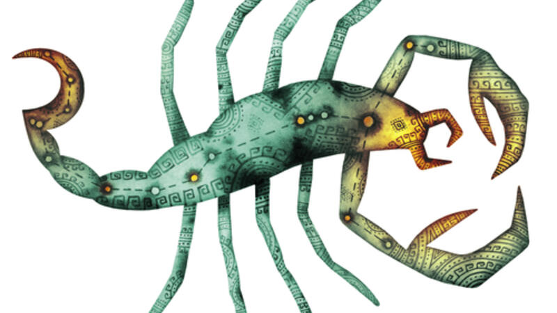 30 حقيقة عن برج العقرب البوابة