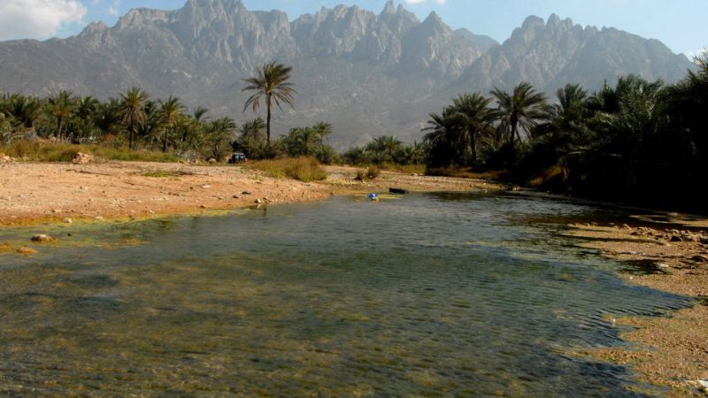 Yemeni government and the United Arab Emirates agreed on a deal for the UAE forces to withdraw from the strategic Socotra Island. (AFP/ File Photo)
