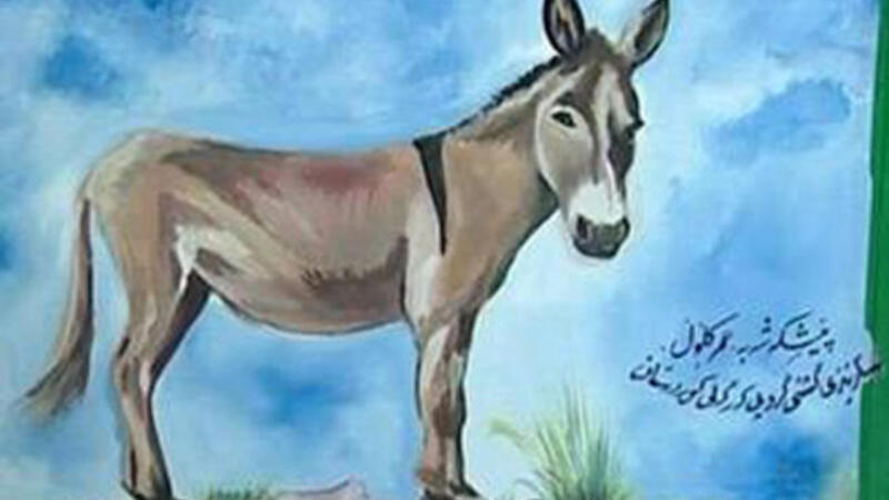 اتان وجحش من رتب العضو الموافقة على