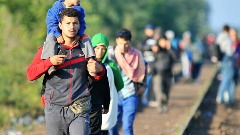 Migrants and refugees walk near the Hungarian border. (File photo)