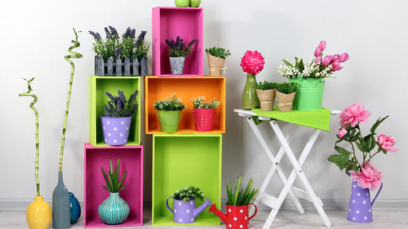 3 نصائح مهمة لشراء نباتات الزينة البوابة