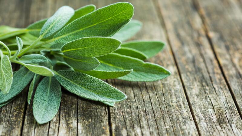 تساعد على تخفيف أعراض انقطاع الطمث هل