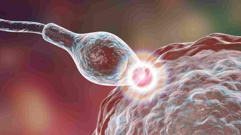 Ø³ÙŠØ¯Ø© ÙˆØ§Ø­Ø¯Ø© Ù…Ù† ÙƒÙ„ 6 Ù†Ø³Ø§Ø¡ ØªØ­Ù…Ù„ Ø·Ø¨ÙŠØ¹ÙŠØ§ Ø¨Ø¹Ø¯ ÙØ´Ù„ Ø§Ù„ØªÙ„Ù‚ÙŠØ­ Ø§Ù„Ø§ØµØ·Ù†Ø§Ø¹ÙŠ Ø§Ù„Ø¨ÙˆØ§Ø¨Ø©