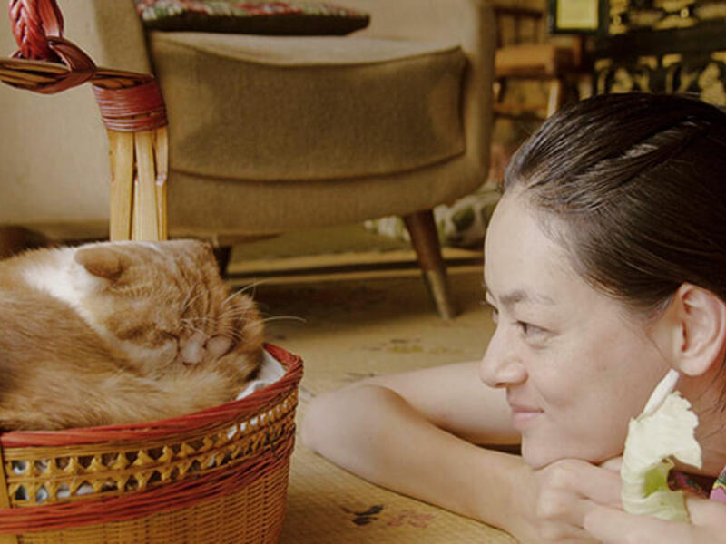 Rent-a-Cat at Cinema Akil