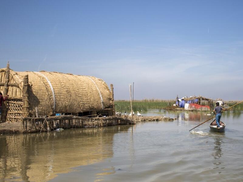 Ecotourists in The Marshes of Iraq Al Bawaba