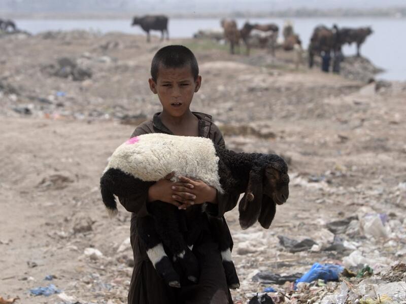 An Afghan refugee boy carries a sheep near his makeshift house in Lahore on June 19, 2019, ahead of World Refugees Day. World Refugee Day is observed June 20 each year internationally to raise awareness of the situation of refugees throughout the world. (ARIF ALI / AFP)