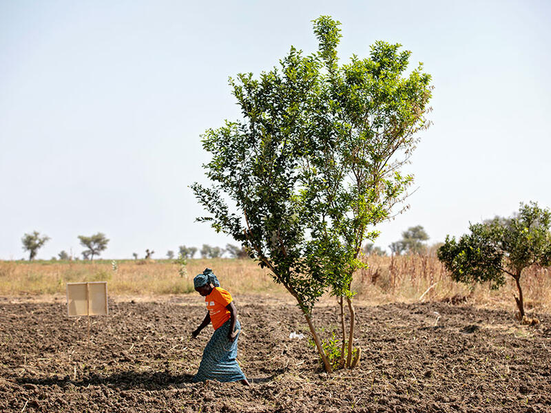 The number of refugees reached 25.9 million around the world in 2018. (Photo: UN Women/Christopher Herwig)