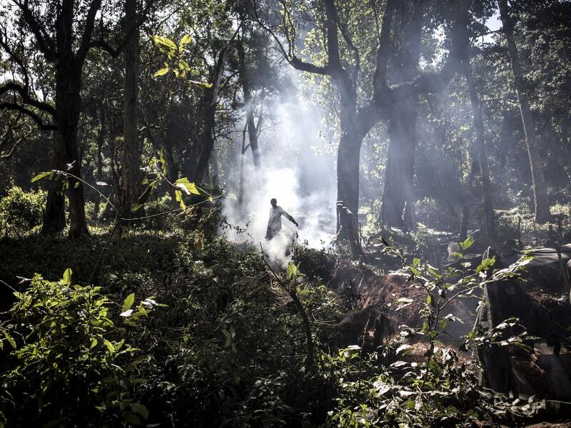 For the last three weeks the FARDC have been fighting in an offensive operation against a militia in the Wago Forest in the Djugu district of Ituria Province. Attacks by this militia and inter-communal fighting between the Lendu and Hema communities have displaced over 300,000 people so far. John WESSELS / AFP 