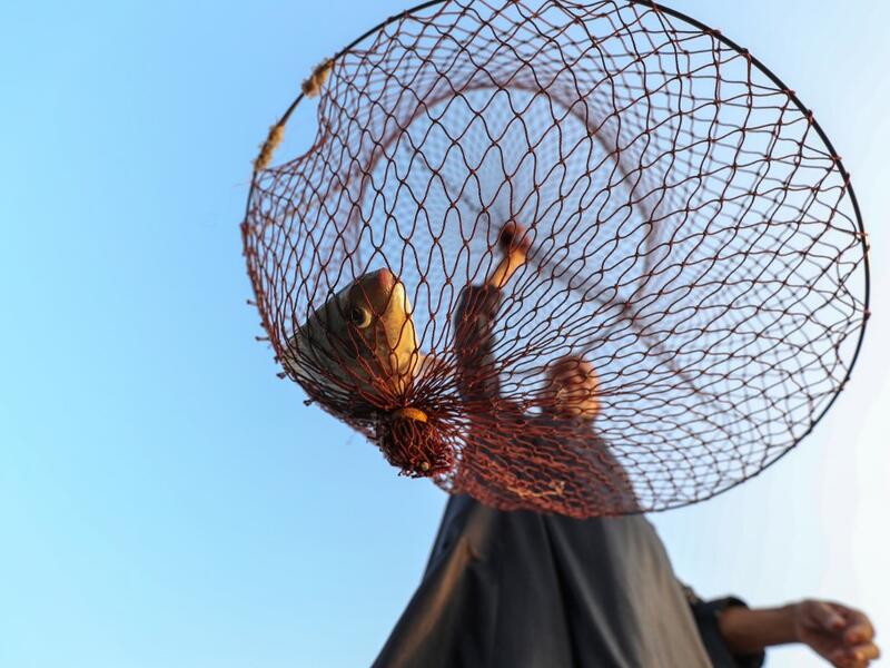 An Egyptian Fisherman holds a fishing net on the waters of the Pharaonic Sea in the village of Kafr Fisha, province of Monufia, on August 13, 2019. The "Pharaonic Sea" is the name of a large water body in the province of Monufia, an area of 2500 acres and overlooking 50 villages. Mohamed el-Shahed / AFP