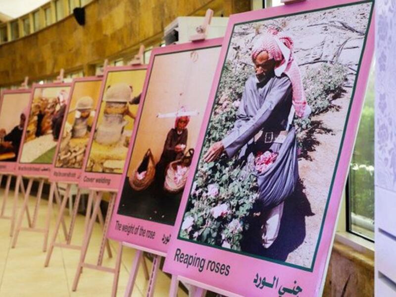 The Taif rose became the most prominent economic product in the city due to its rare qualities and properties. (SPA)