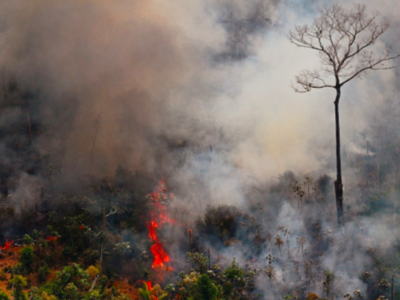 Stopping the raging Amazon fires is a top priority (AFP Photo)