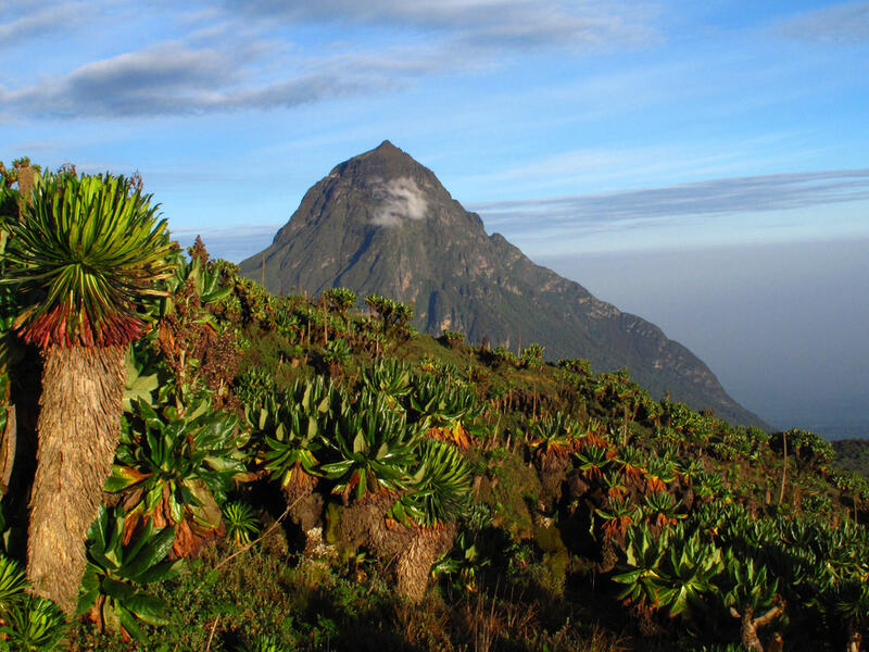 Rwanda’s national parks (Shutterstock)