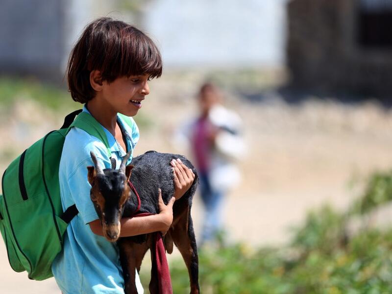 School children attend an open-air class under a tree near their unfiniA Yemeni school boy holds his goat as he arrives to attend an open-air class at a unfinished school in the southwestern Yemeni village of al-Kashar Ahmad AL-BASHA / AFP