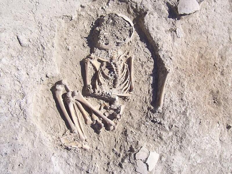 Anthropologists believe the bones belonged to a six-year-old who most likely died of trauma in the 4th millennium BC. (Daily Mail)
