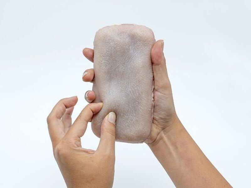 The artificial skin was created using two layers of silicone – dubbed 'dermis' and 'hypodermis' layers – with an electrode layer in the middle made up of ultra-thin wires that act as sensors (dailymail.co.uk)