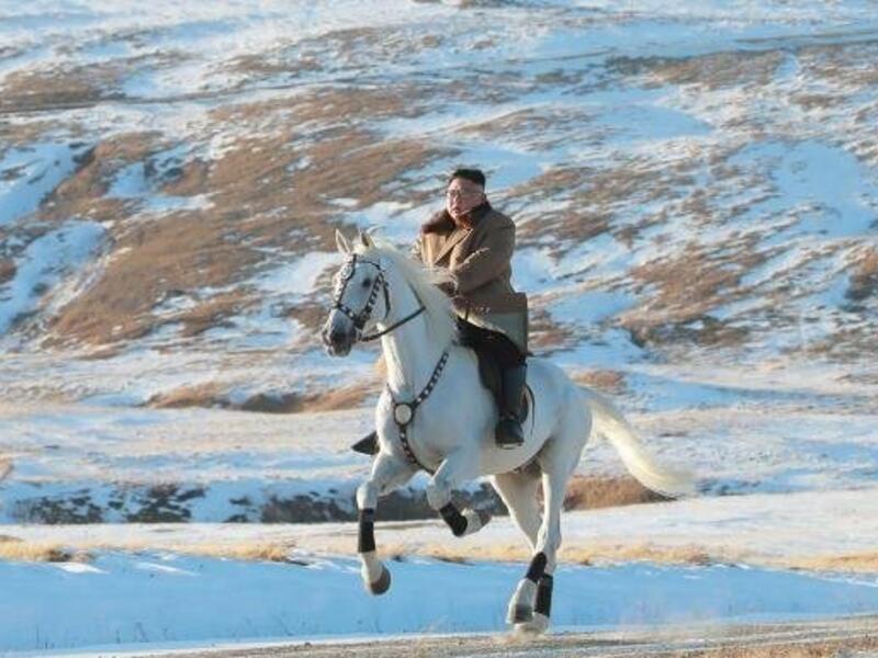 Well these pics of Kim Jong Un scaling Paektusan on a white horse (Twitter)