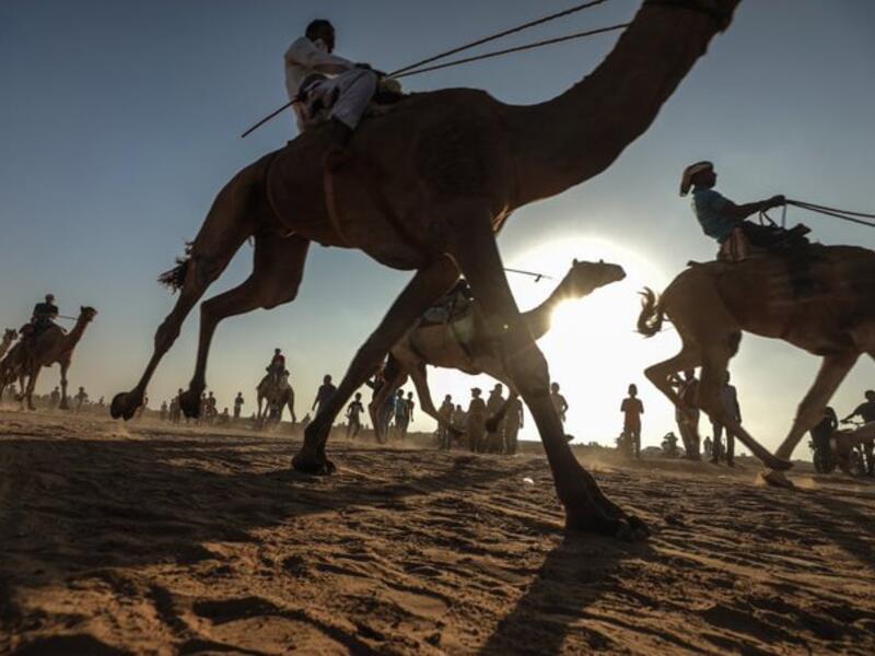 A Palestinian jockey competes during a local camel race held at the destroyed Gaza airport (Twitter)
