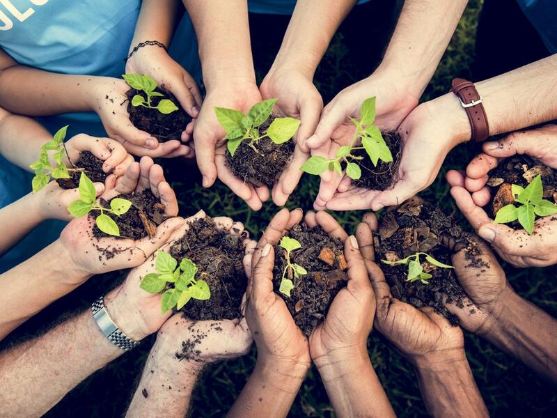 (Shutterstock/ File Photo)