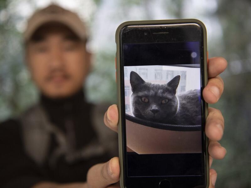 This photo taken on October 23, 2019 shows pet detective Sun Jinrong holding a phone with the picture of a missing cat in a residential compound in Beijing. Private sleuth Sun Jinrong brings heat detectors, tiny surveillance cameras, and a blowdart loaded with a tranquiliser to his search for one desperate client's missing loved one: A cat named Duoduo.  NOEL CELIS / AFP