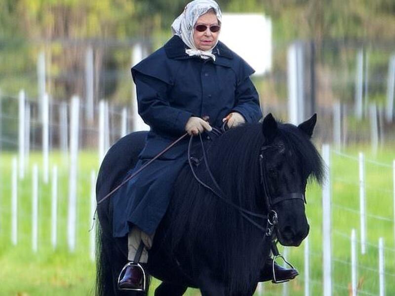 The Queen was spotted horse riding in the grounds of Windsor Castle this morning (Twitter)
