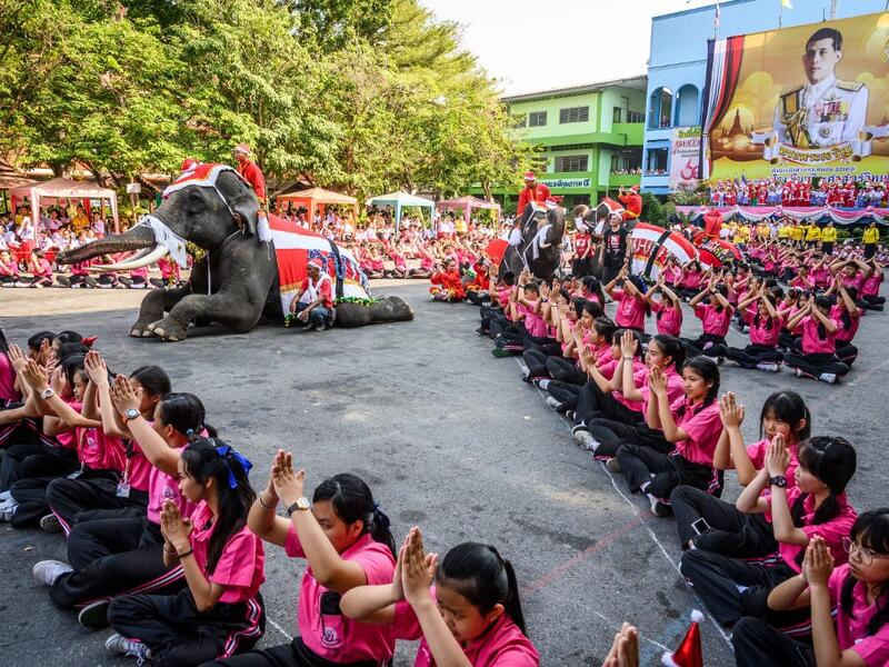 Elephants dressed in Santa Claus costumes perform during a gift presentation to schoolchildren during Christmas celebrations in Ayutthaya on December 23, 2019. Wearing red and white hats and a string of bells, Thai elephants passed out Christmas gifts to hundreds of schoolchildren on Monday despite growing criticism over using the animals in performances. The annual festive event is organised by a nearby elephant park, whose mahouts or handlers started in the early morning dressing the animals. Thailand is 