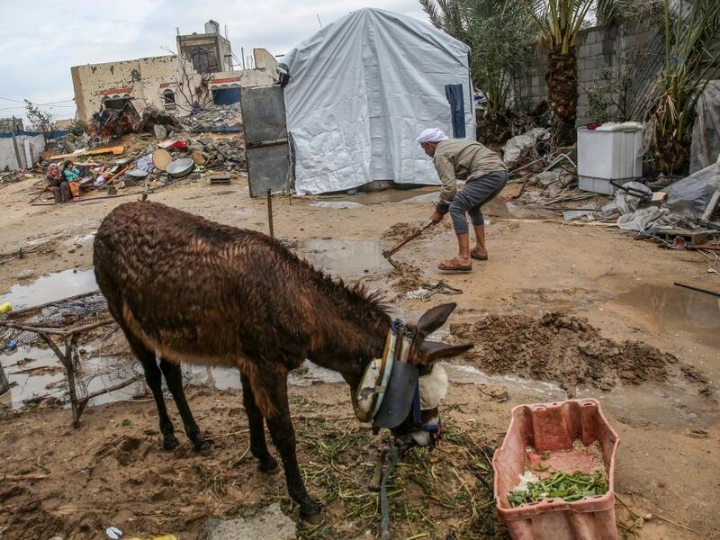 Palestinian Hammouda Abu Amra, 51, digs to divert water from entering his shack after heavy rains in Khan Yunis in the southern Gaza Strip on January 10, 2020. Abu Amra, whose house was destroyed by an Israeli air strike last November, now lives in a shack with his family of seventeen. SAID KHATIB / AFP