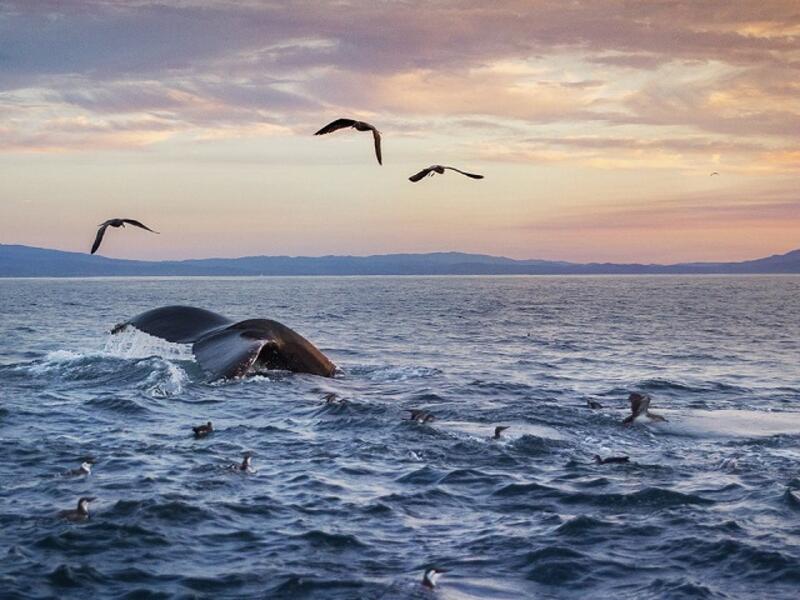 Monterey, California