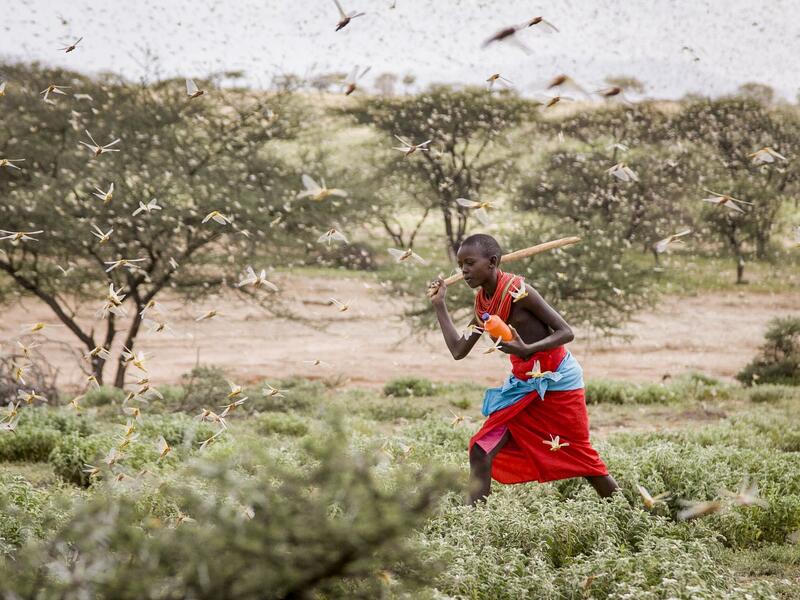 Uganda has not had such an outbreak since the 1960s and is already on alert. (AFP/ File Photo)