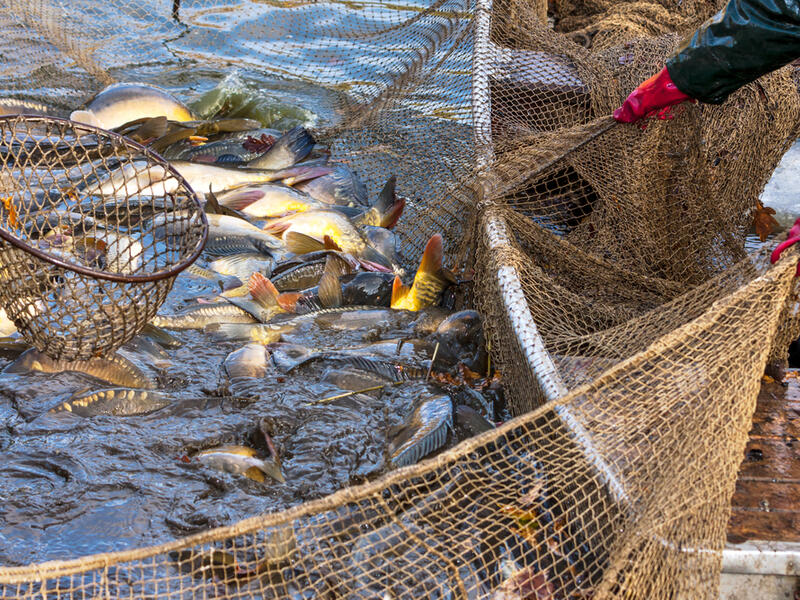 (Shutterstock/ File Photo)