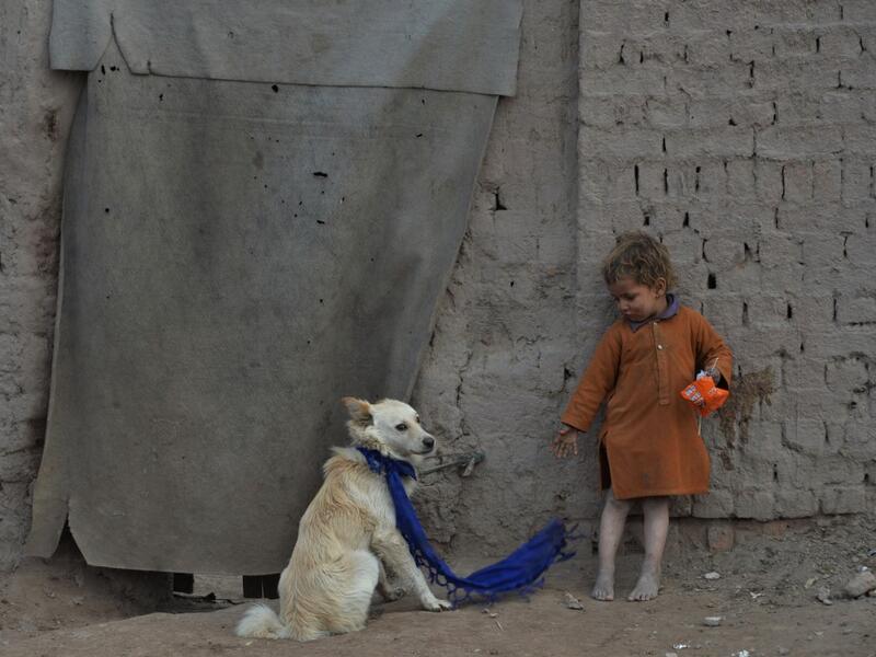 In this photograph taken on February 3, 2020, a child stands next to a dog outside his temporary house on the outskirts of Jalalabad. NOORULLAH SHIRZADA / AFP