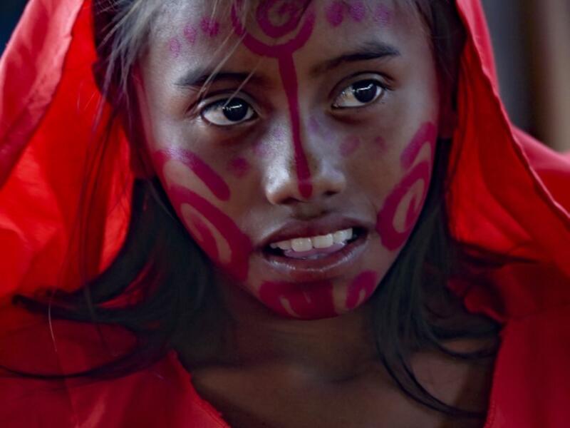 A Wayuu girl poses for a picture before performing the traditional La Yonna dance, in Tres Bocas, northern Colombia, on March 13, 2020. Juan BARRETO / AFP