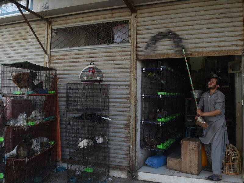 Abandoned when Pakistan's largest cities went into lockdown, hundreds of caged cats, dogs and rabbits have been found dead inside pet markets hurriedly shuttered as the coronavirus spread. Animals still alive in the corner of Karachi's sprawling Empress Market where pets are sold were rescued only after activists appealed to the authorities for access. Asif HASSAN / AFP
