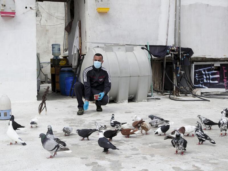 A pigeon owner, wearing personal protective equipment, feeds his pigeons on the rooftop of his building in the southern suburb of Beirut on April 11, 2020. ANWAR AMRO / AFP
