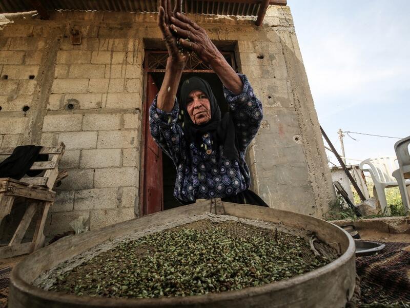 A Palestinian woman sifts lightly roasted wheat, harvested before maturity (freekeh), in Khan Yunis in the southern Gaza Strip on April 22, 2020, before being prepared to be used in a soup during the Muslim holy month of Ramadan which begins later in the week. From cancelled iftar (fast breaking) feasts to suspended mosque prayers, Muslims across the Middle East are bracing for a bleak month of Ramadan fasting as the threat of the COVID-19 pandemic lingers. The holy Muslims fasting month of Ramadan is a per