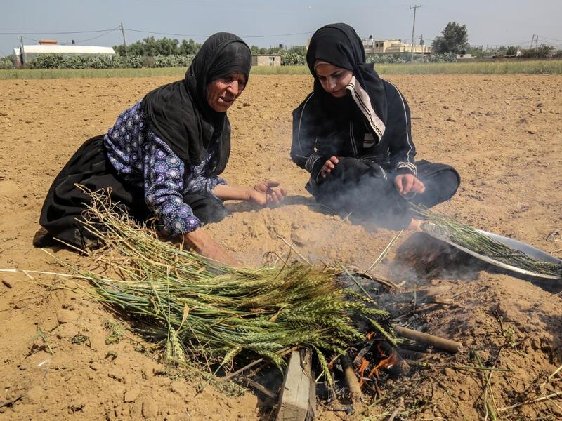 A Palestinian woman lightly roasts wheat harvested before maturity (freekeh) in Khan Yunis in the southern Gaza Strip on April 22, 2020, before being prepared to be used in a soup during the Muslim holy month of Ramadan which begins later in the week. From cancelled iftar (fast breaking) feasts to suspended mosque prayers, Muslims across the Middle East are bracing for a bleak month of Ramadan fasting as the threat of the COVID-19 pandemic lingers. The holy Muslims fasting month of Ramadan is a period for b