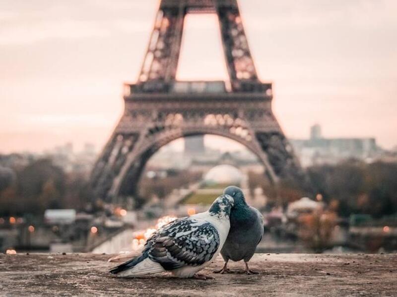 باريس
