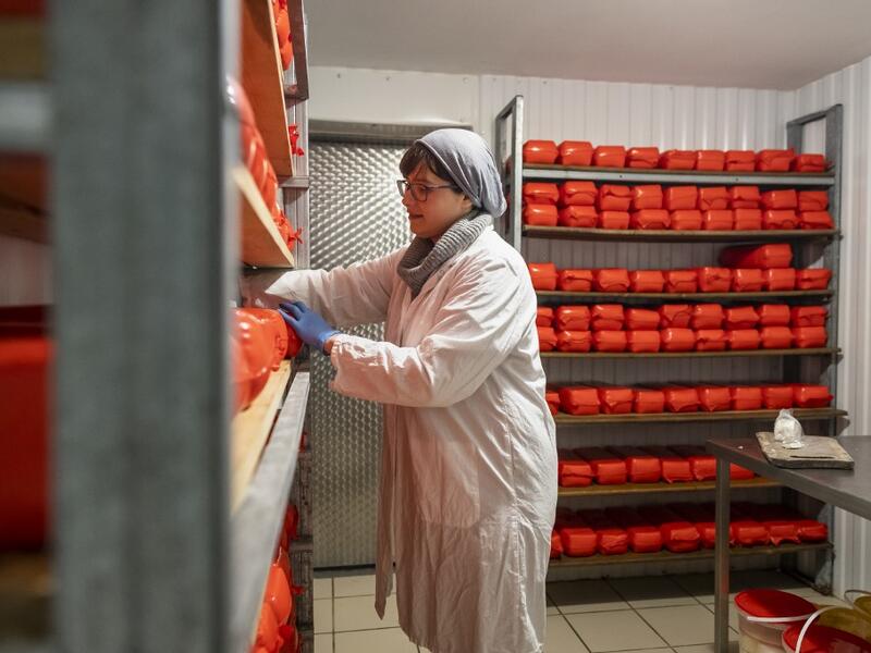 Izabela Ciesielska turns over large blocks of goat cheese in a cold room of the "Nad Arem" farm in the Masuria - polish lake region, May 15, 2020. The sheep and cows are in the meadow, the cheese is ripening in a room on the ground floor -- just the kind of scene attracting increasing numbers of Polish cityslickers away from the urban jungle. Wojtek RADWANSKI / AFP