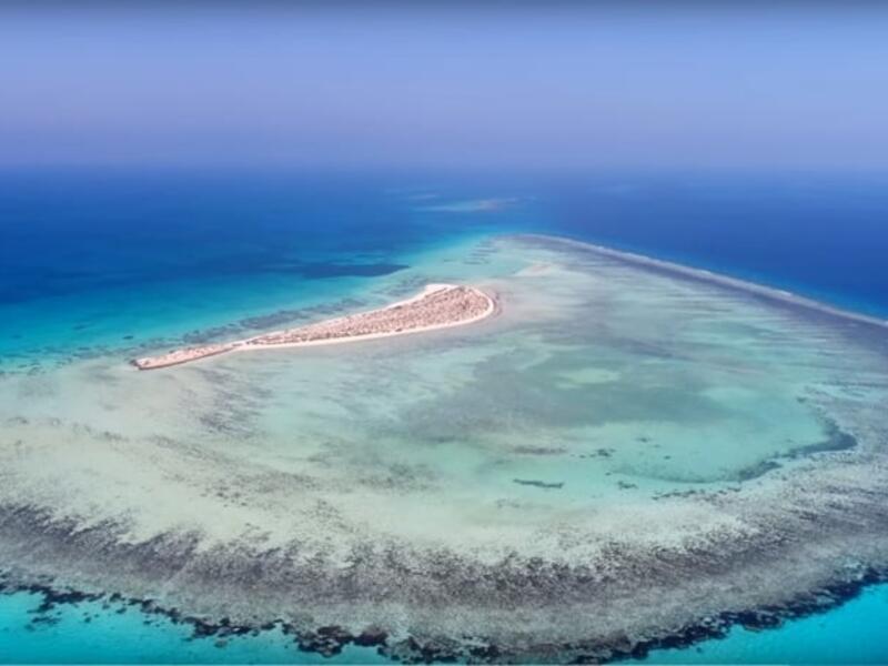 استكشف أملج: تتميز هذه المدينة بنخيلها المتمايلة على الرمال البيضاء التي تغطي شواطئها الهادئة، كما تميزها تنوع الأحياء البحرية في أعماق المياه الصافية حيث السلاحف الخضراء، والسلاحف الصقرية، والأطوم، ومئات الأنواع من الأسماك.