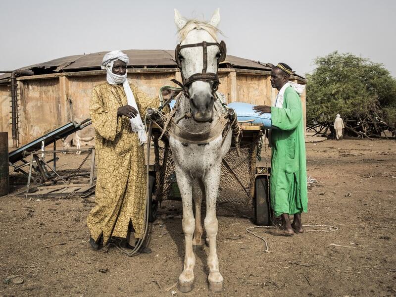 Fulani herders pack their cart with fodder before making their way back to their camps at a unofficial herders market in Barkedji on May 28, 2020. COVID-19 coronavirus restrictions have closed down markets and regional movement, as a result Fulani herders are struggling to move to areas with more grazing land for there live stock. Closures of markets have meant that the prices for live stock has dropped by up to fifty percent, leaving the pastoralist stuck with out being able to pay for the provisions to mo
