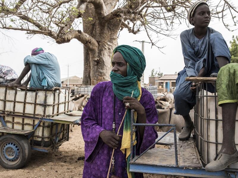 Fulani herders wait to fill their water tanks at a water point in Dolly on May 30, 2020. Dolly is a pastoral reserve where Fulani pastoralists can come as a refuge before heading back North as the first rains fall. COVID-19 coronavirus restrictions have closed down markets and regional movement, as a result Fulani herders are struggling to move to areas such as Dolly which have more grazing land and access to water. JOHN WESSELS / AFP